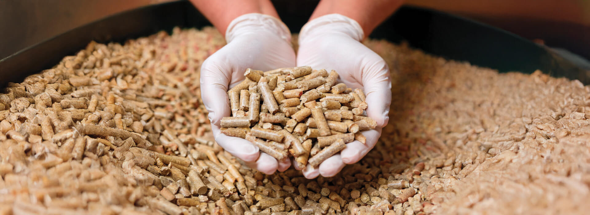 Biomass Pellets